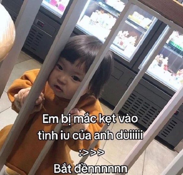 meme-tinh-yeu-14