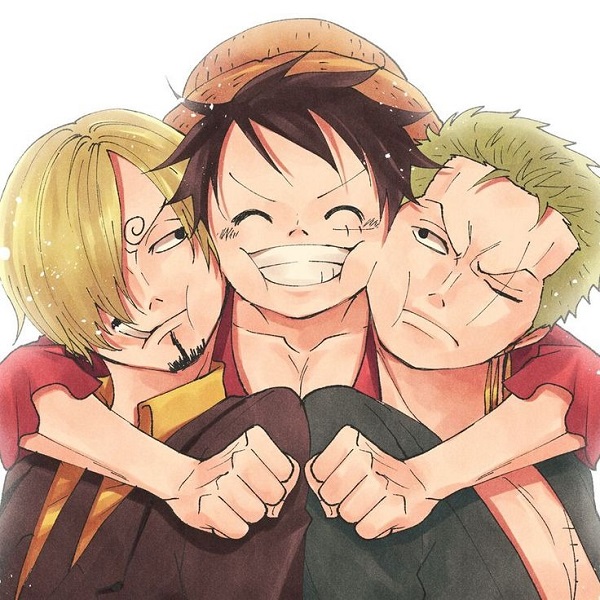 luffy-zoro-sanji-ngau-8